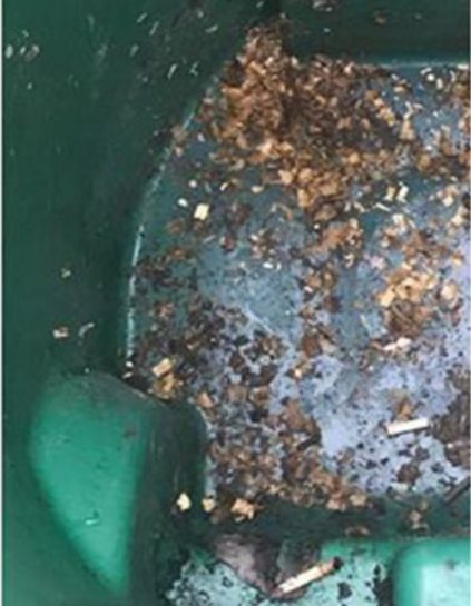 The inside of a green wheeled bin before cleaning, the floor of it covered in wet rotting leaves and debris